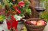 Foto: Herbst